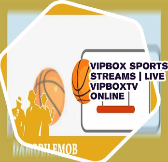 Vipbox basketball